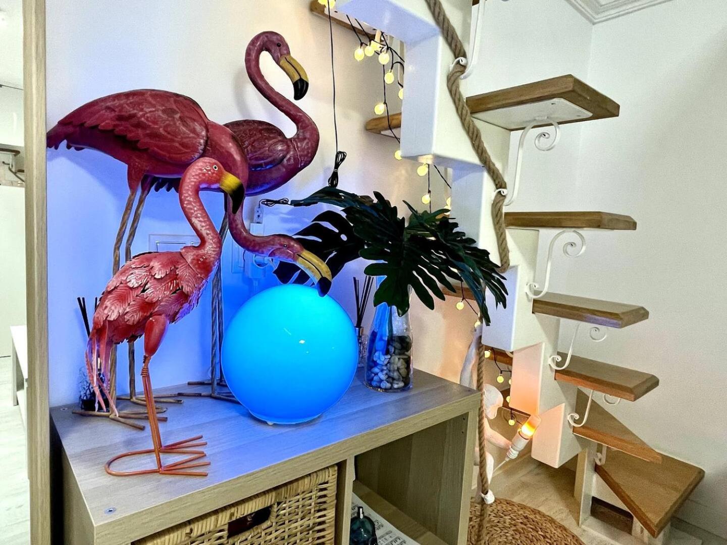 Los Flamencos, Malasana Loft Madrid 45Mq 外观 照片