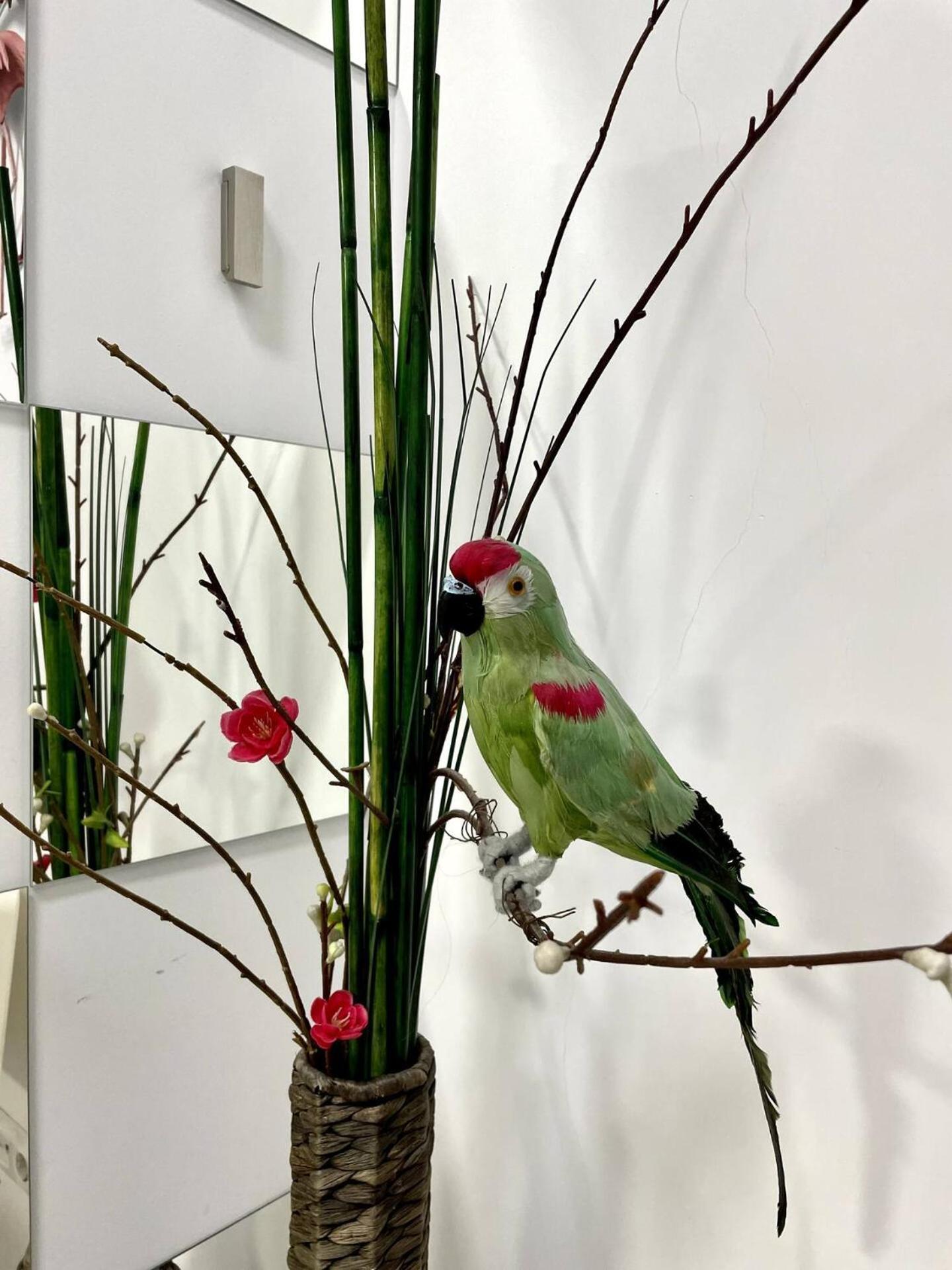 Los Flamencos, Malasana Loft Madrid 45Mq 外观 照片
